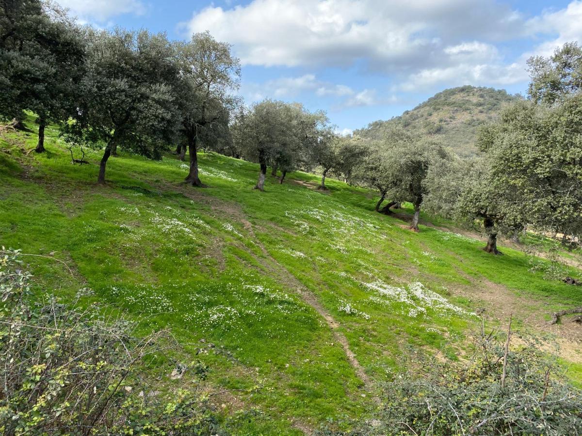 El Rincon De Aracena Villa Bagian luar foto