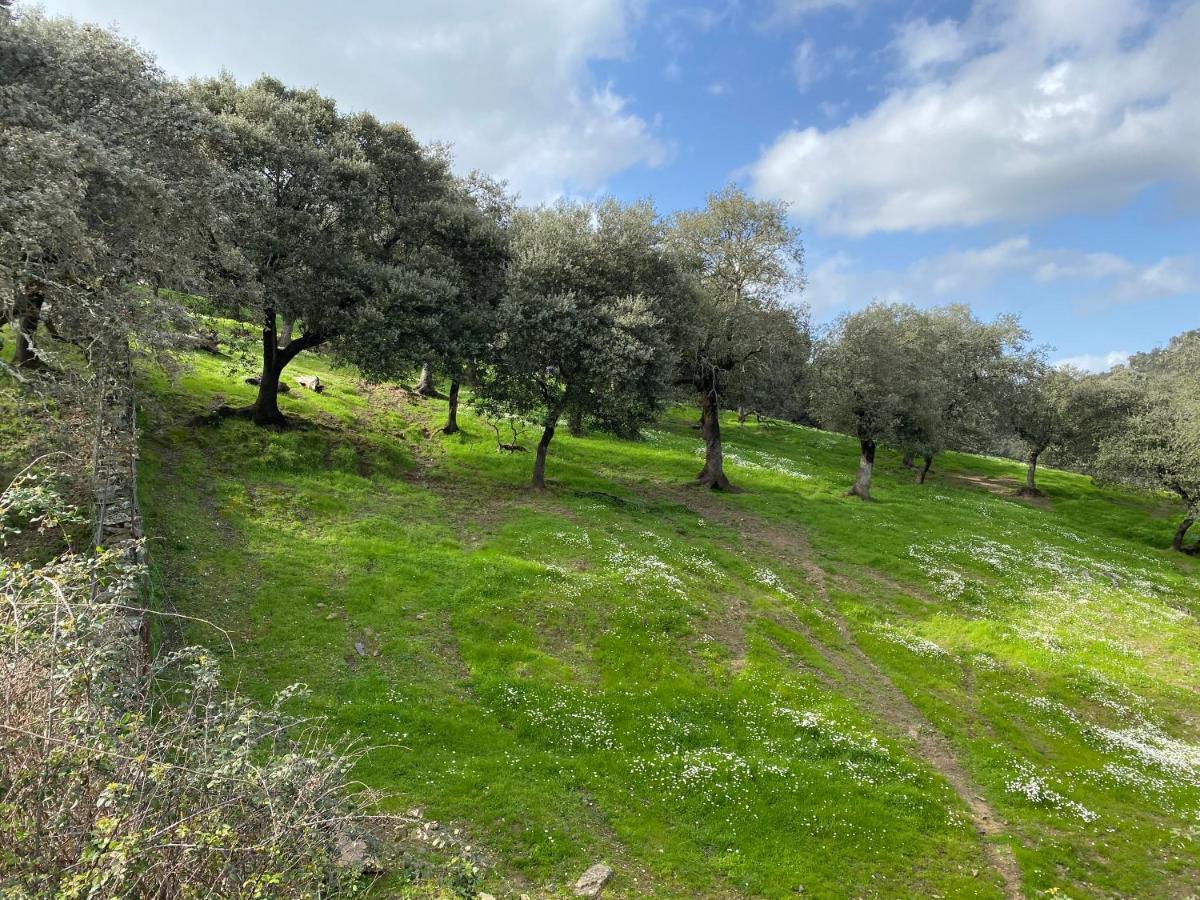 El Rincon De Aracena Villa Bagian luar foto